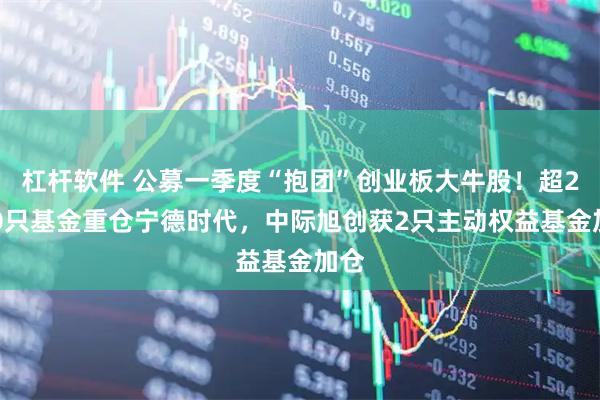 杠杆软件 公募一季度“抱团”创业板大牛股！超2000只基金重仓宁德时代，中际旭创获2只主动权益基金加仓