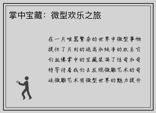 掌中宝藏：微型欢乐之旅